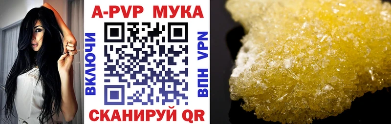 Купить где  Павловская  APVP мука 