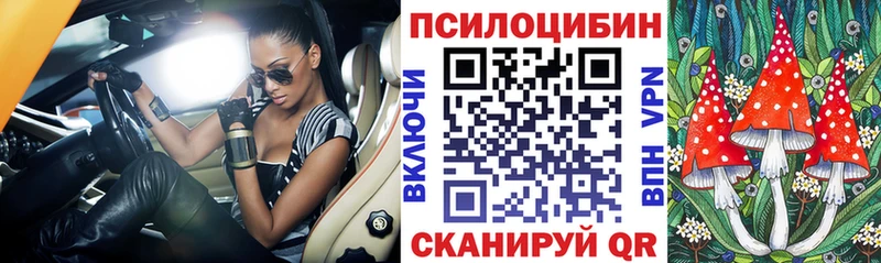 Купить где  Павловская  Галлюциногенные грибы прущие грибы 